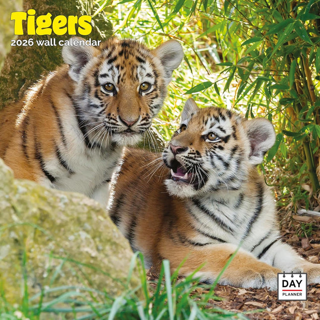 Dayplanner Tijger Kalender 2026