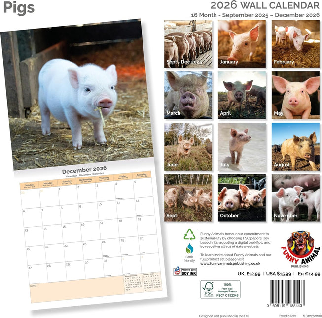 Dayplanner Varken Kalender 2026