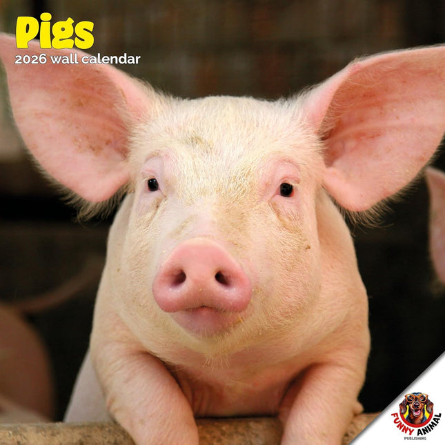 Dayplanner Varken Kalender 2026