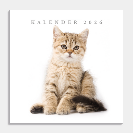 De Hobbit Katten Kalender 2026