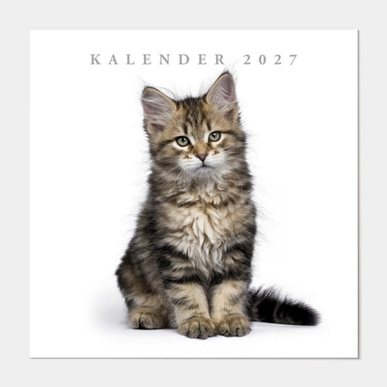 De Hobbit Katten Kalender 2027