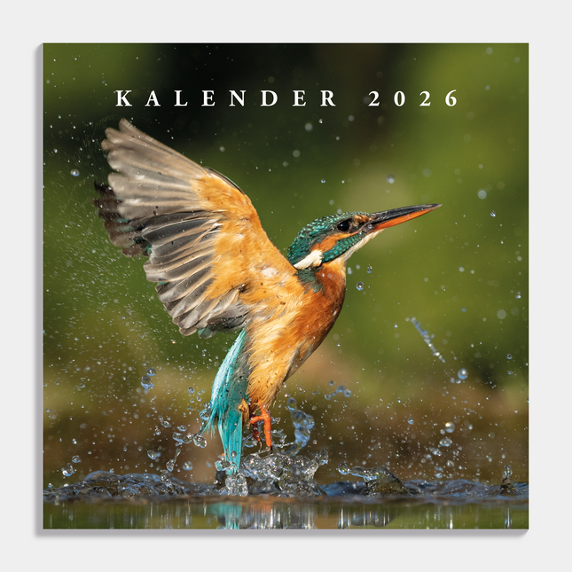 De Hobbit Vogel Kalender 2026