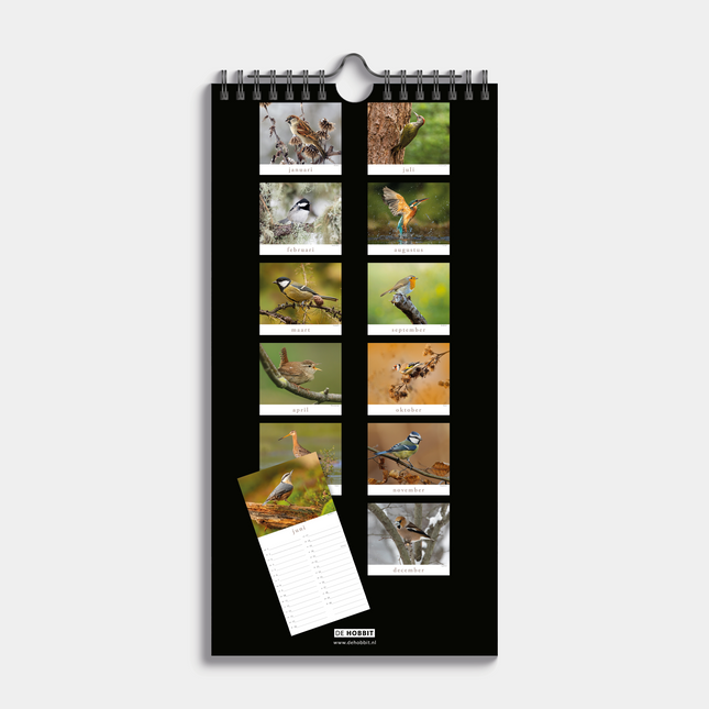 De Hobbit Vogels Mini Kalender 2026