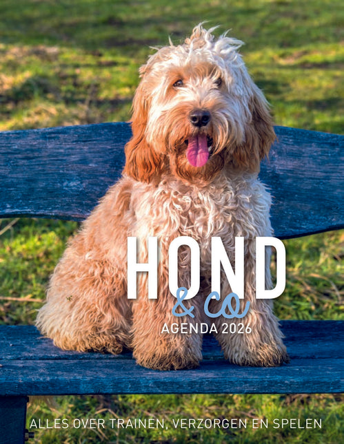 Edicola Hond & Co Agenda 2026