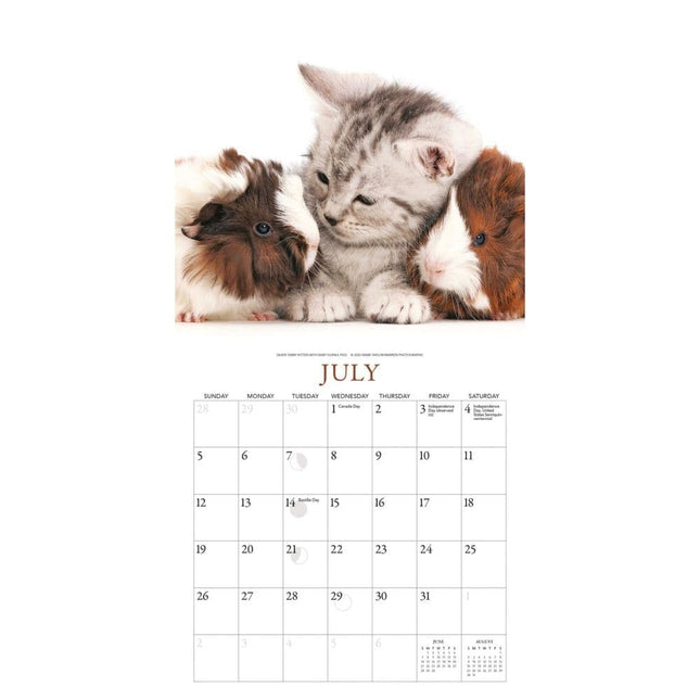Gladstone Media Kittens en Vrienden Kalender 2026 Mini