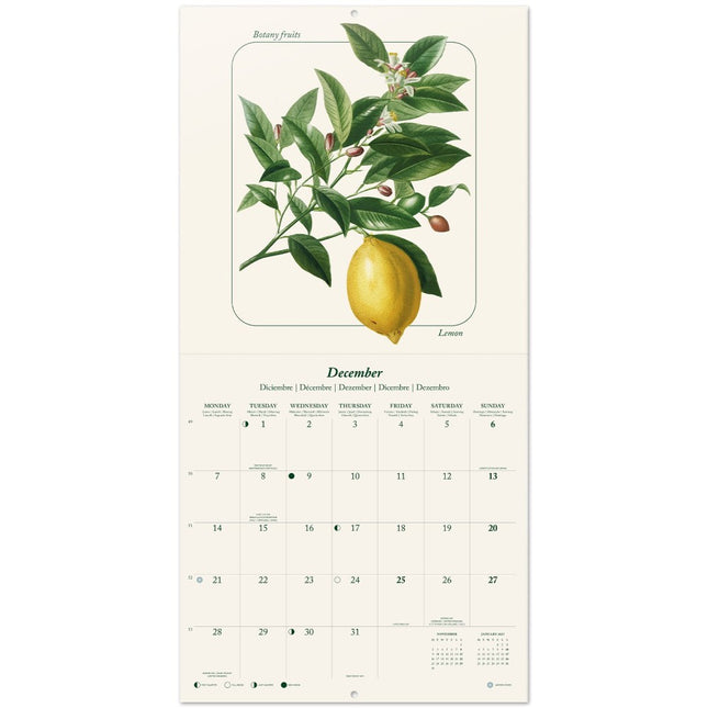 Grupo Vintage Fruit Kalender 2026