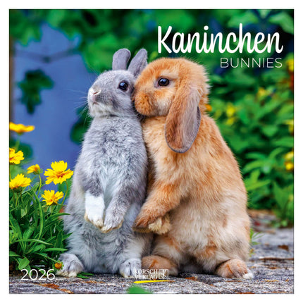 Korsch Verlag Konijnen Kalender 2026