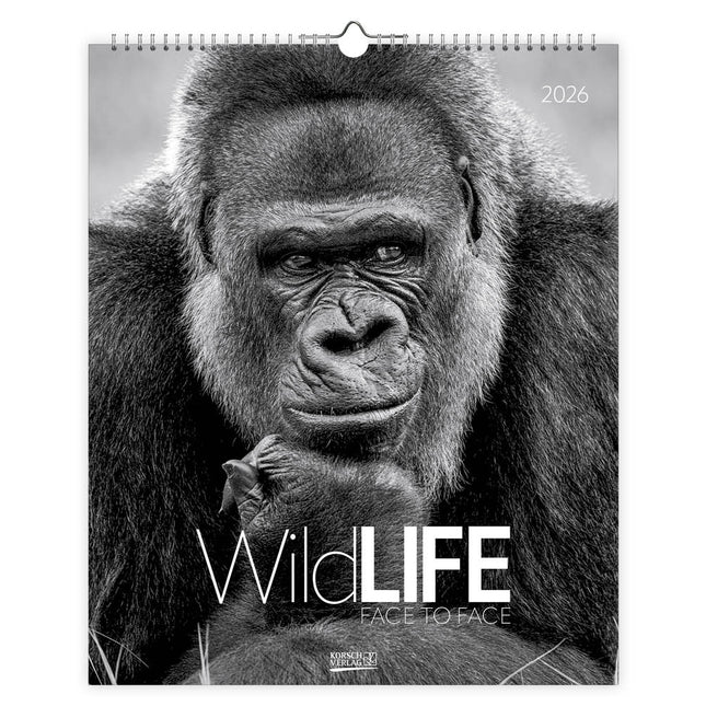 Korsch Verlag Wildlife face to Face Kalender 2026