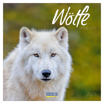 Korsch Verlag Wolven Kalender 2026