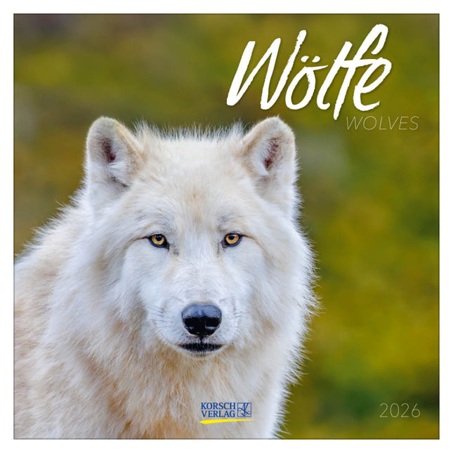 Korsch Verlag Wolven Kalender 2026