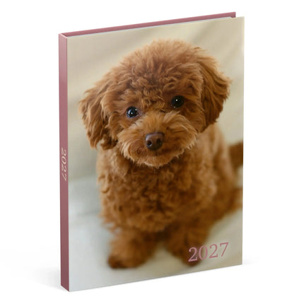 Lannoo Honden Desk Agenda 2027 Poedel