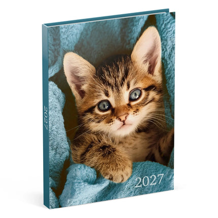 Lannoo Katten Desk Agenda 2027