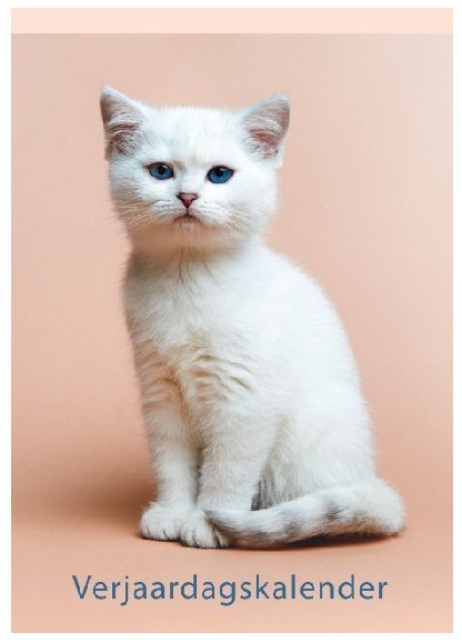 Lannoo Kittens Verjaardagskalender