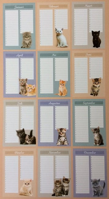 Lannoo Kittens Verjaardagskalender