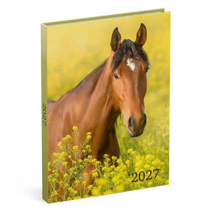 Lannoo Paarden Desk Agenda 2027
