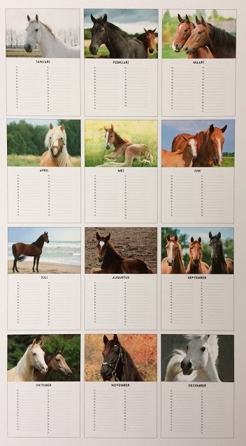 Lannoo Paarden Verjaardagskalender