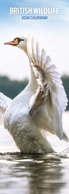 Magnet & Steel British Wildlife Kalender 2026 Slimline
