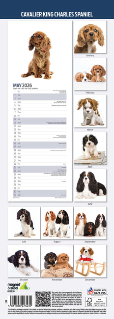 Magnet & Steel Cavalier King Charles Spaniel Kalender 2026 Slimline