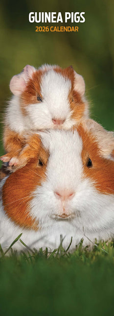 Magnet & Steel Cavia Kalender 2026 Slimline