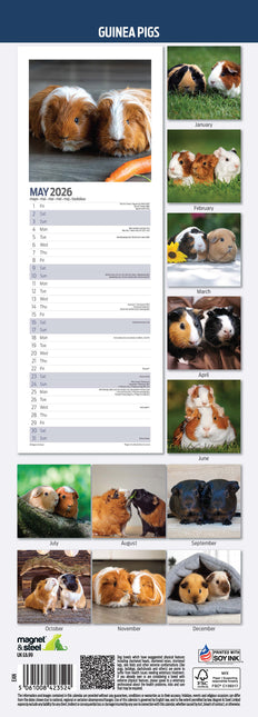 Magnet & Steel Cavia Kalender 2026 Slimline