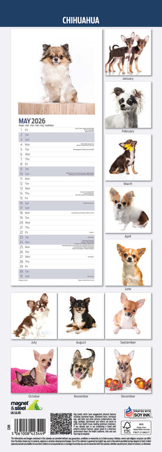 Magnet & Steel Chihuahua Kalender 2026 Slimline