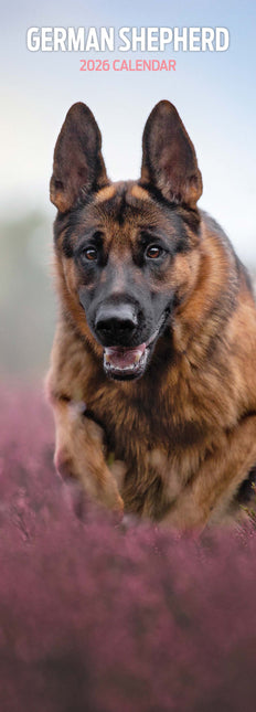 Magnet & Steel Duitse Herder Kalender 2026 Slimline