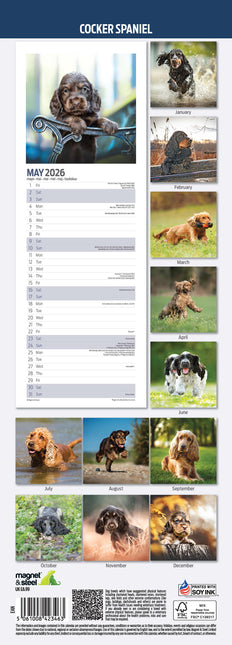 Magnet & Steel Engelse Cocker Spaniel Kalender 2026 Slimline