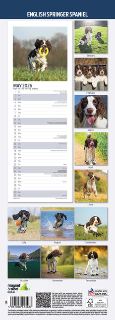 Magnet & Steel Engelse Springer Spaniel Kalender 2026 Slimline
