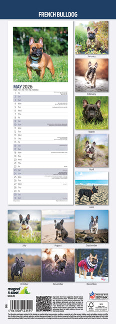 Magnet & Steel Franse Bulldog Kalender 2026 Slimline