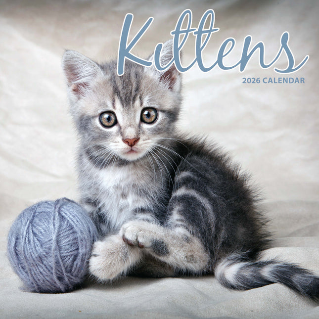 Magnet & Steel Kittens Kalender 2026