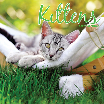 Magnet & Steel Kittens Kalender 2027
