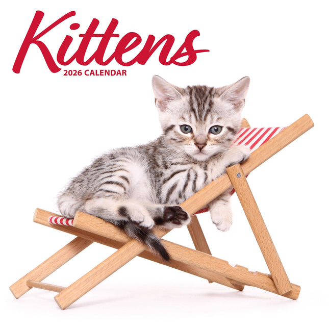 Magnet & Steel Kittens Modern Kalender 2026