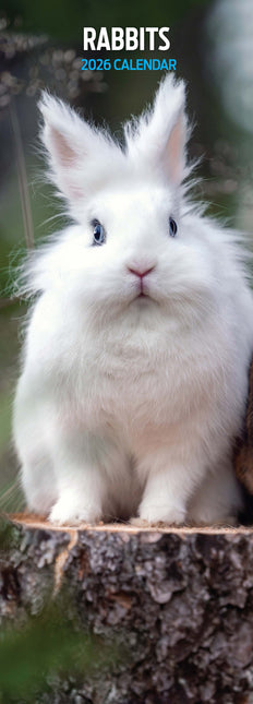 Magnet & Steel Konijnen Kalender 2026 Slimline
