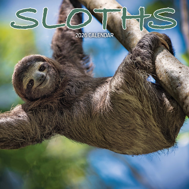 Magnet & Steel Luiaard Kalender 2026