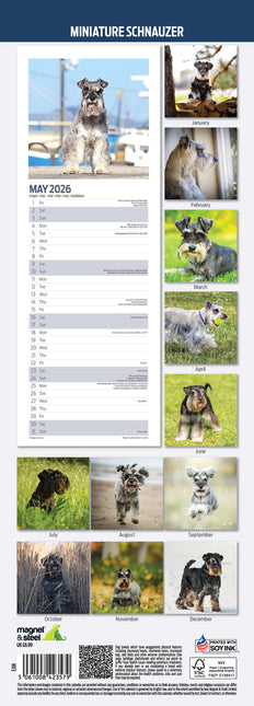 Magnet & Steel Miniatuur Schnauzer Kalender 2026 Slimline