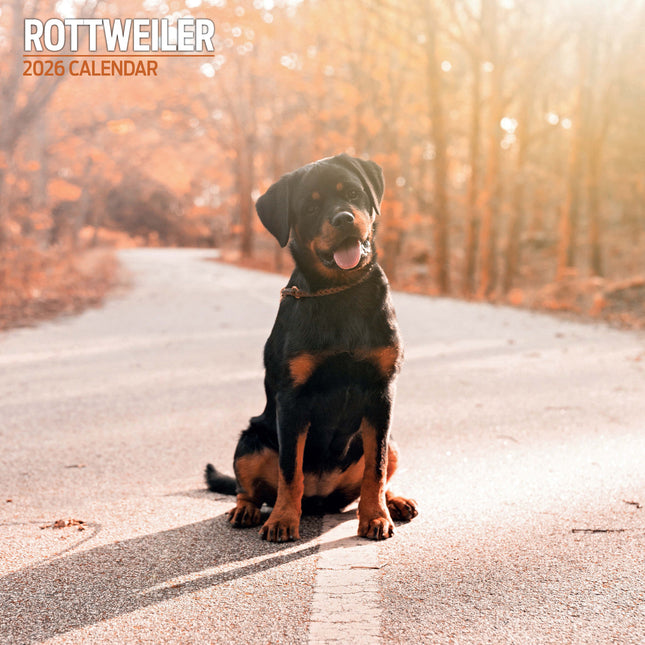 Magnet & Steel Rottweiler Kalender 2026