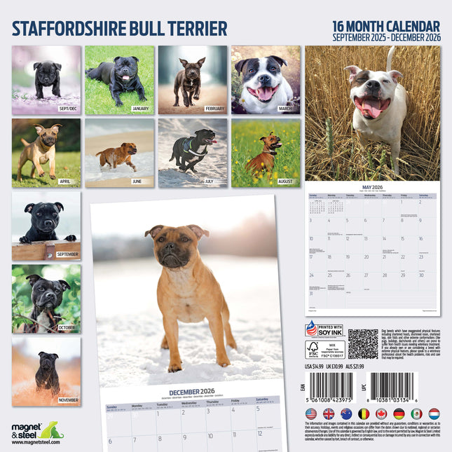 Magnet & Steel Staffordshire Bull Terrier Kalender 2026