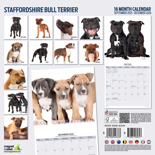 Magnet & Steel Staffordshire Bull Terrier Modern Kalender 2026