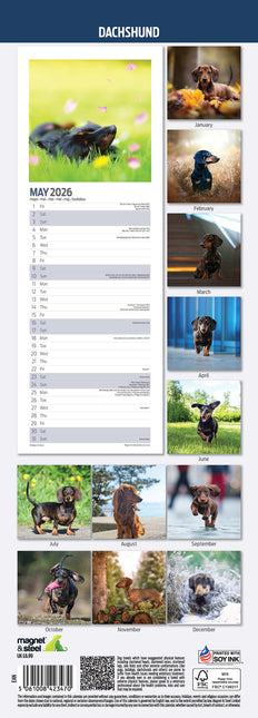 Magnet & Steel Teckel Kalender 2026 Slimline