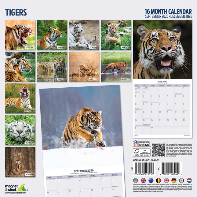 Magnet & Steel Tijger Kalender 2026