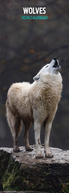 Magnet & Steel Wolven Kalender 2026 Slimline