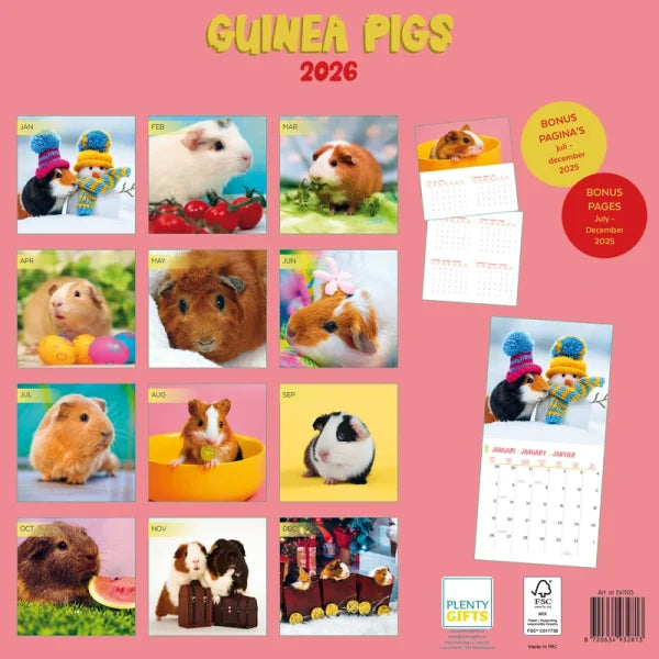 Plenty Gifts Cavia Studio Kalender 2026