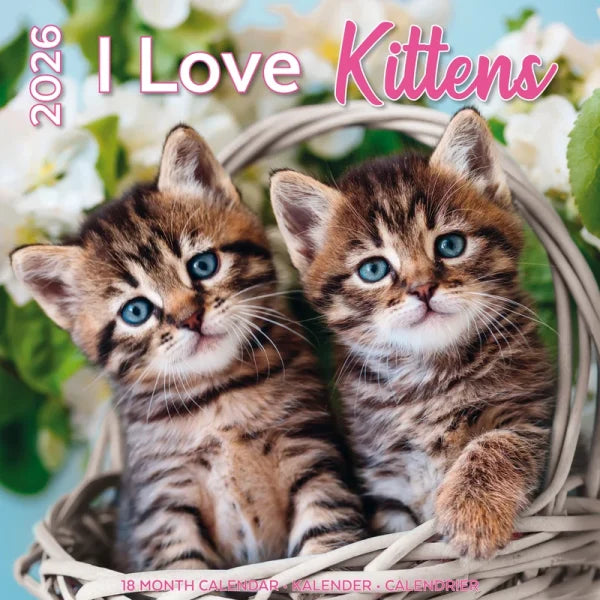 Plenty Gifts I Love Kittens Kalender 2026