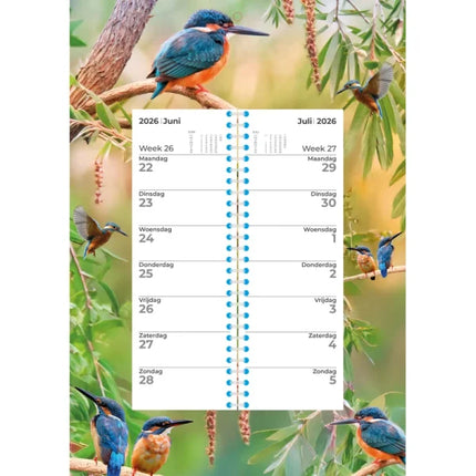 Plenty Gifts IJsvogel Weekomleg Kalender 2026
