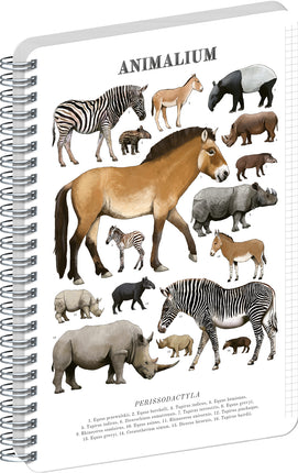Presco Animalium – Perissodactyls Spiraal Notitieboek A5 Ruitjes