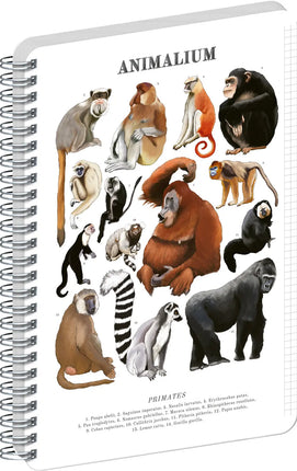 Presco Animalium – Primates Spiraal Notitieboek A4 Ruitjes