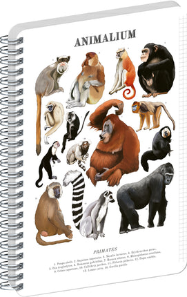Presco Animalium – Primates Spiraal Notitieboek A5 Ruitjes