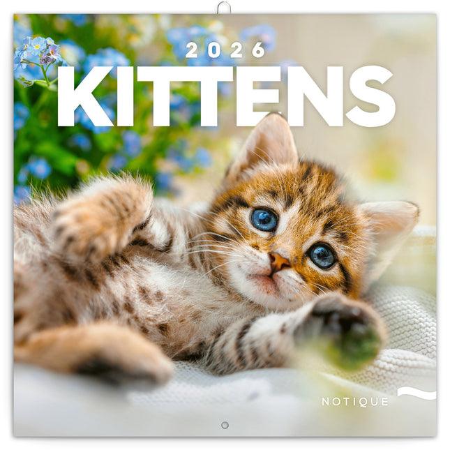 Presco Kittens Kalender 2026