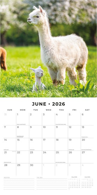 Red Robin Alpaca Kalender 2026