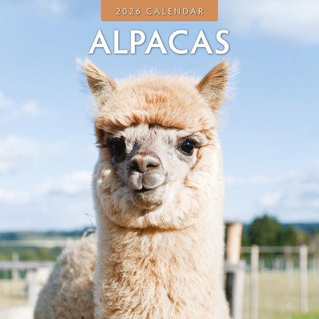 Red Robin Alpaca Kalender 2026